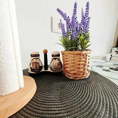 Luxurious Landing Apartamento