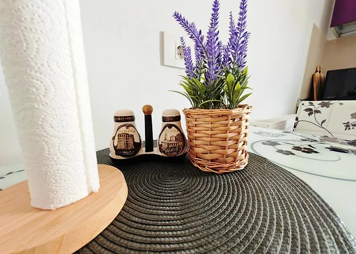 Luxurious Landing Apartment